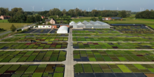 Vacature orderpicker vaste planten kwekerij het eyssel meerle